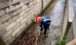 Depressao Barbara 2020